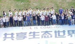 贾跃亭最新爆料,揭秘乐视帝国兴衰背后的真相