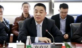 深圳最新政府爆料,聚焦城市发展与民生改善举措