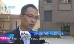 惠阳秋长最新爆料,揭秘神秘项目背后的真相