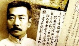 鲁迅最新爆料视频大全播放,揭秘历史真相，引发热议