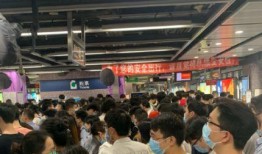 深圳最新政府爆料,聚焦城市发展与民生改善举措