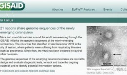 美国病毒最新爆料,揭秘疫情背后的惊人真相！