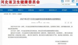 河北省最新爆料消息新闻,聚焦热点事件深度解析