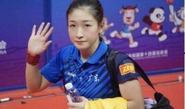 刘诗雯最新爆料,揭秘职业生涯背后的心酸与辉煌